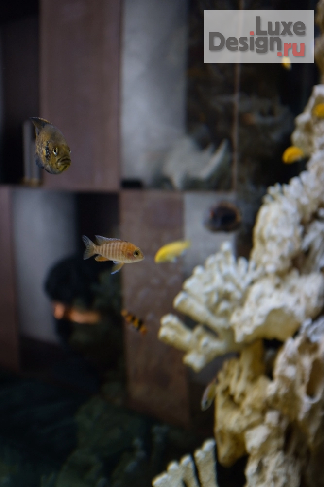 Дизайн интерьера квартиры "Реализация проекта в Европейском микрорайоне " (фото 13)